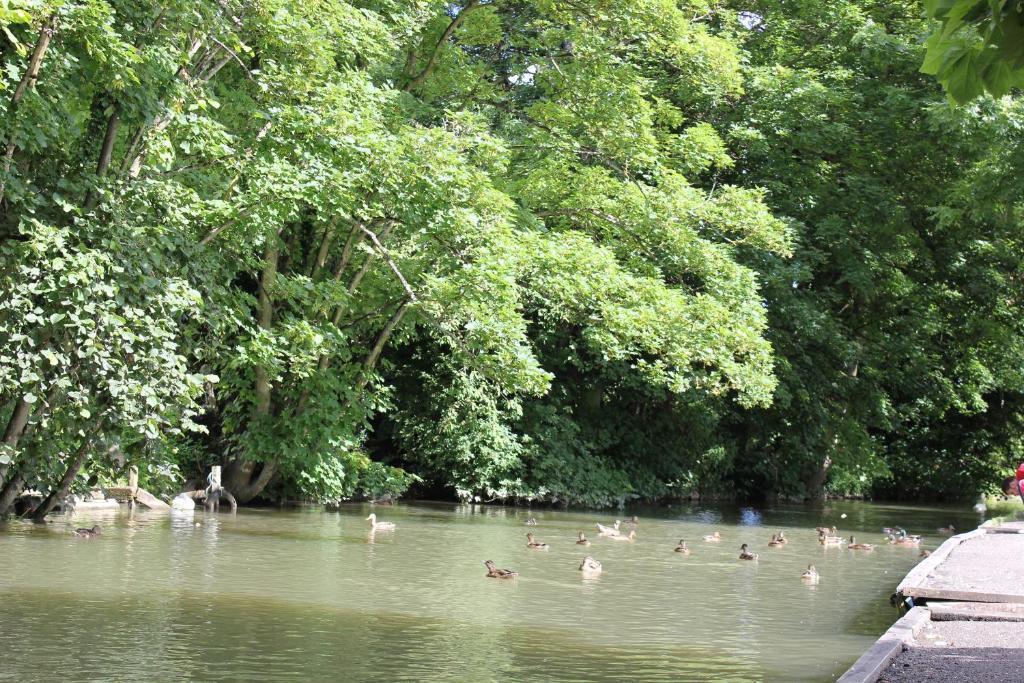 The Golden Pheasant Hotel Burford Luaran gambar